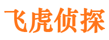 江岸市侦探公司